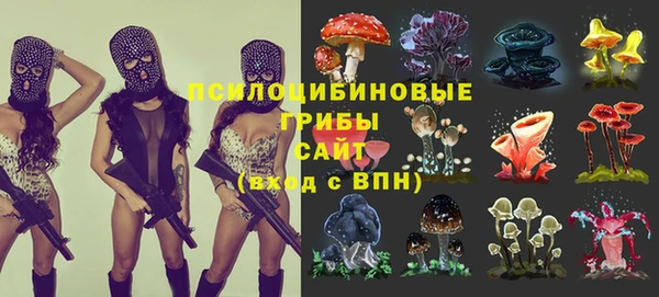 эйфоретик Алексин
