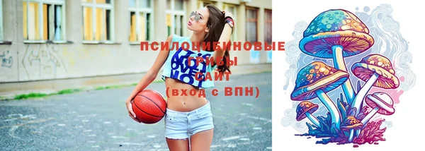 прущие грибы Алексеевка