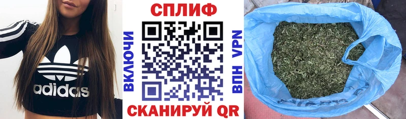 где продают   Павловский Посад  Марихуана MAZAR 